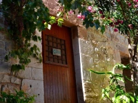 Vinciucci 