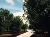 Fikus - the Apulian B&B 