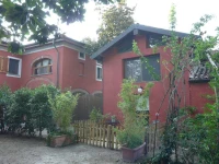 Il Pettirosso 