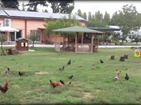 Agriturismo Perugini 