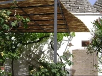 Baba Trullo 