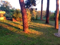 Villa Magda 