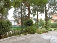 Bed and Breakfast Pino Marittimo 