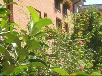 La Collina Di Collevalenza 