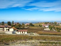 B&B La Gibiana 