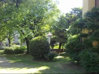 Villa Palmitia 
