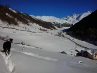 Padoellhof 