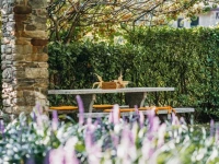 Appartamento Villa Dervio 