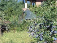 B&B Agriturismo Il Ginepro 