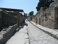 Herculis Domus 
