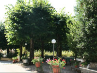 Hotel Reale