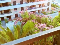 Domus al Parco Guest House 