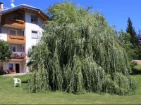 Residenza Tonidandel 