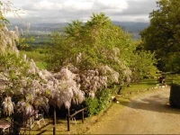 Agriturismo Calcinaia sul lago 