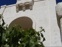 Masseria Pelosella B&B 