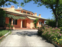 Profumi Di Collina