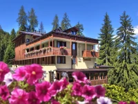 Hotel Caminetto 