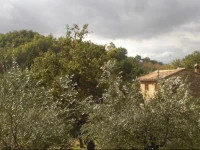 B&B Il Sentiero nel Bosco 