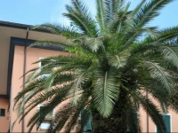 Hotel Bellonda 