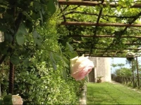 Agriturismo SantAlfonso 