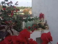 La Dimora della nonna Rosina 