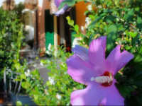 Albergo Al Castello