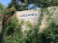Greeneria 
