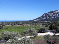 Agriturismo Su Barcu