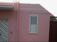 Adamo