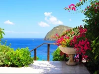 Casa Vacanze Vista Mare Bouganville 