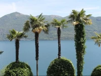 Casale Amore 