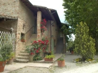 Tenuta il Pino 