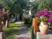 B&B degli Ulivi da Patty 