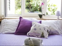 Villa Apollo B&B 