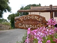 Agriturismo Podere Carducci 