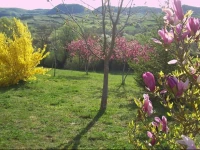 B&B Villa Cimerone 