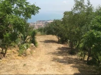 Vacanze Selvagge 