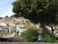 Cav Brunella 