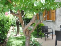 B&B La Gatta Blu 