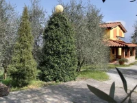 La Locanda Cuccuini 