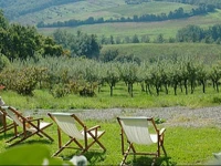 Podere Lamberto 