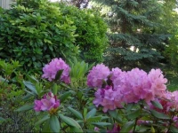 Giardino Alpino 
