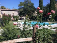Il Gelso Di Mario 