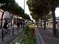 Appartamento Con Terrazza 