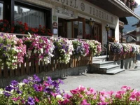Hotel Federia 2*