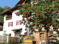 Casa Pioncla Apartments 
