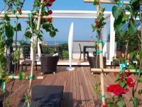 Zen Hotel Versilia 4*