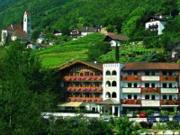 Hotel Marlingerhof 