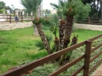 B&B Le Stanze del Sale 