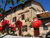 Antico Casolare 